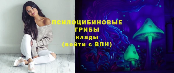 скорость mdpv Бородино