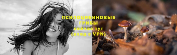 ALPHA PVP Бугульма