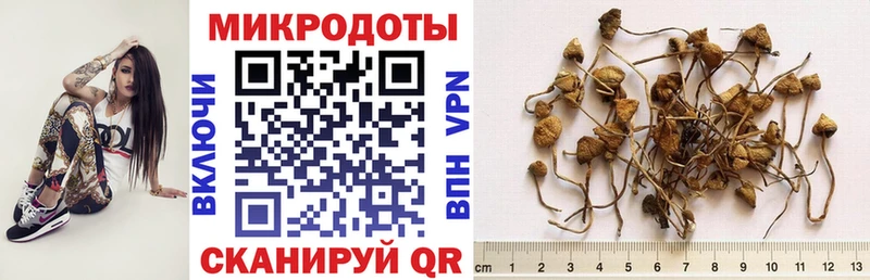 Псилоцибиновые грибы MAGIC MUSHROOMS  Чёрмоз 